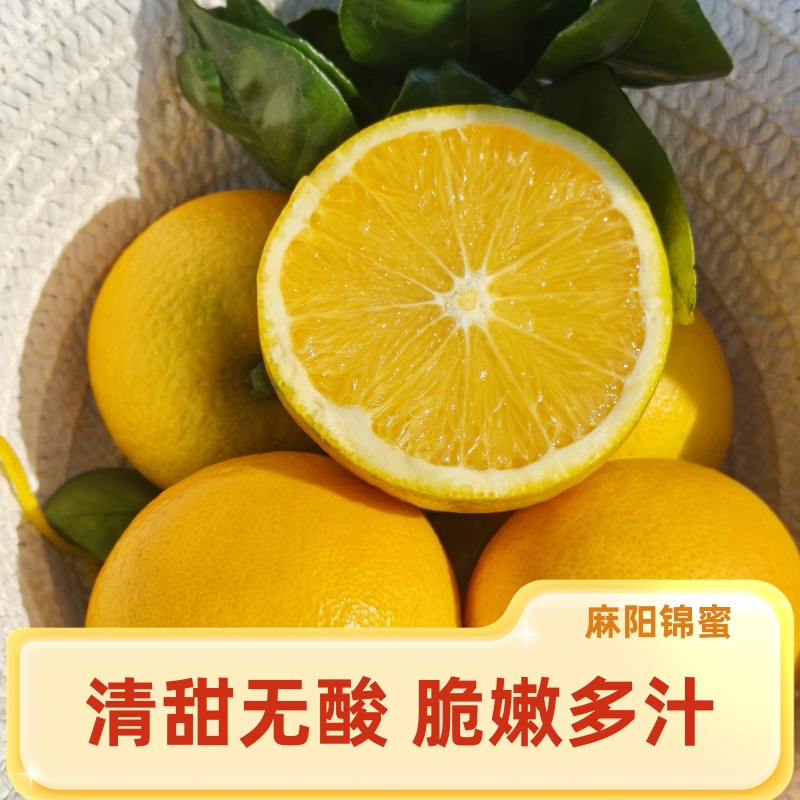 麻阳正宗高山锦蜜冰糖橙 当季新鲜水果 清甜爆汁