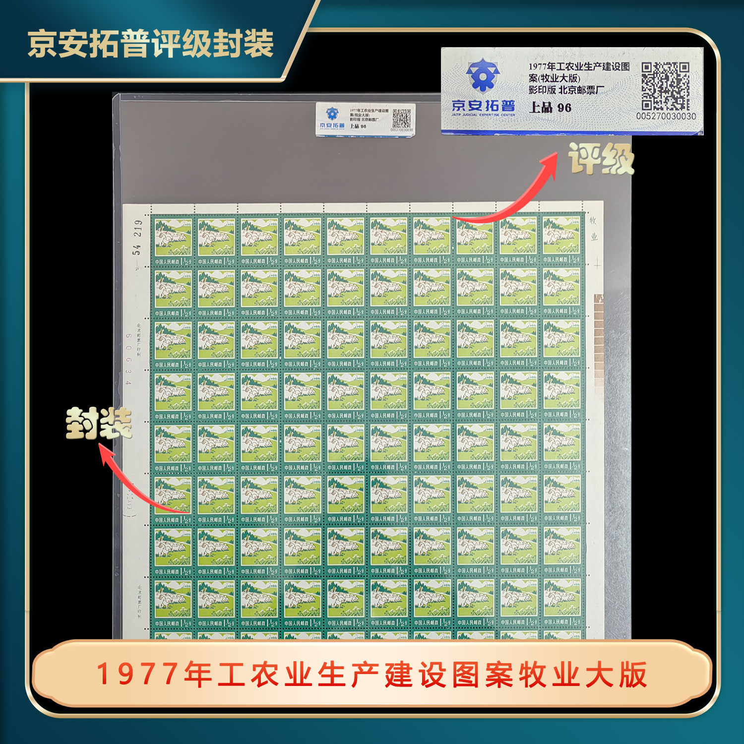 1977年普18牧业1½分大版票京安拓普评级上品96分