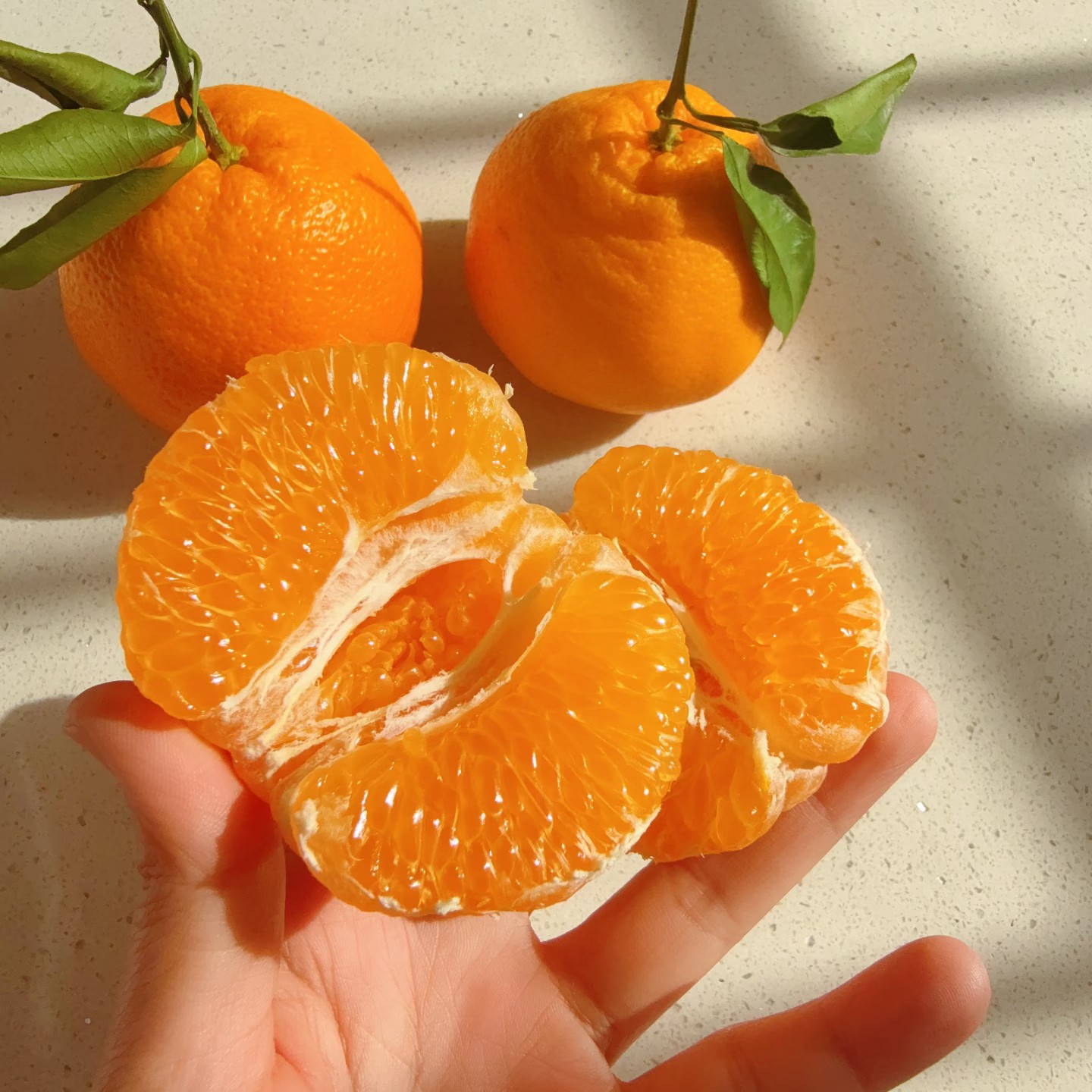 耙耙柑一箱约五斤四川省