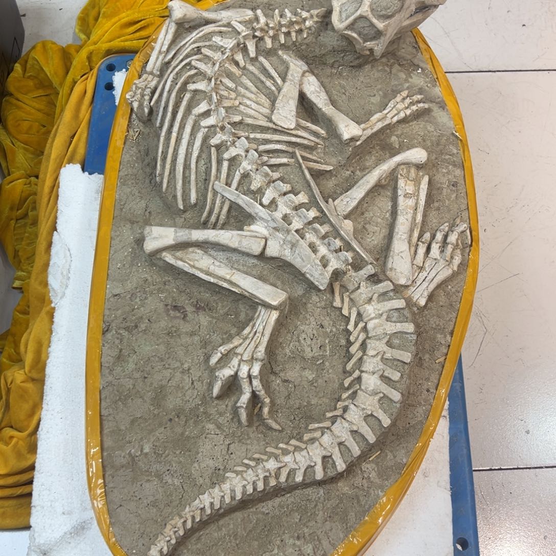 八***梦完全开放精品摆件家居摆件