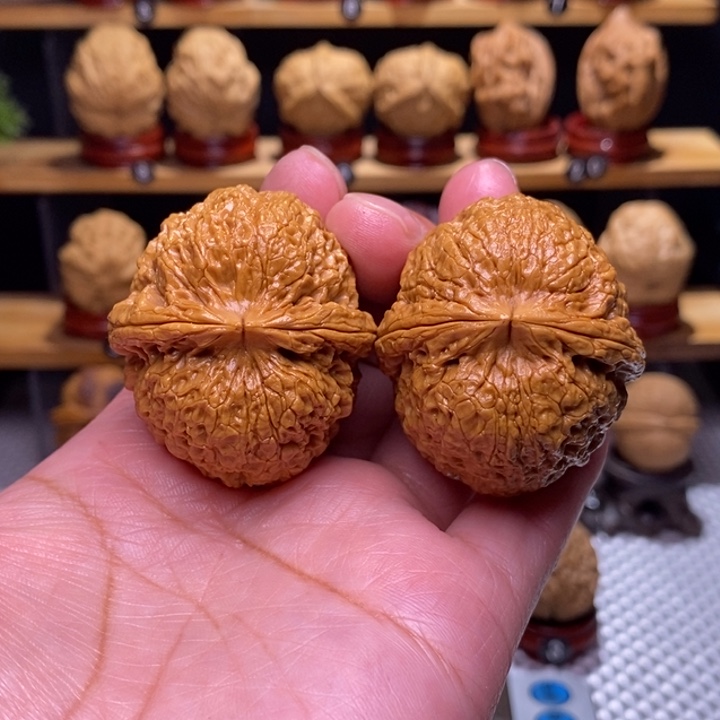 木质类云铁铁狮子22号