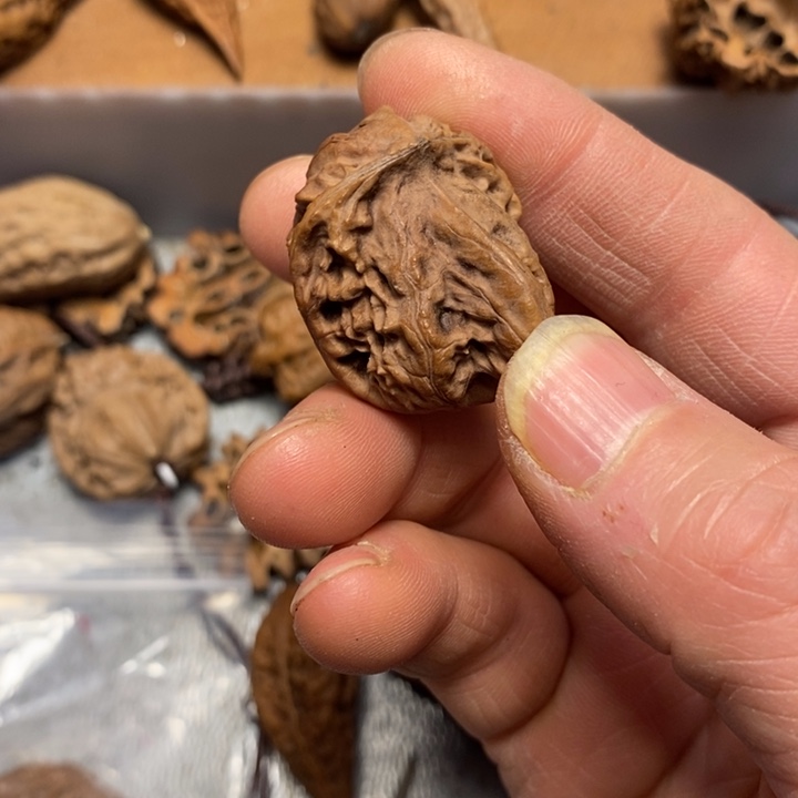 心***心吊坠文玩核桃不错