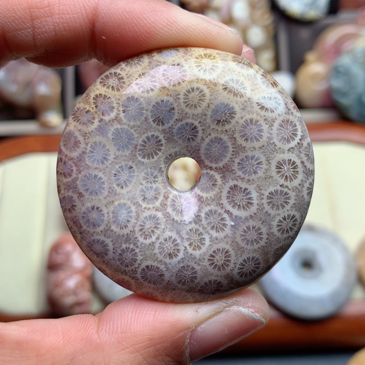 硅化珊瑚（珊瑚玉）颈饰未镶嵌