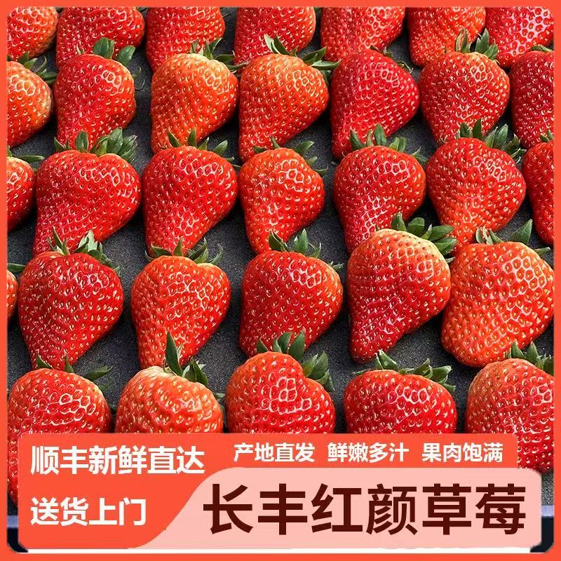 果王【拍2斤送1斤】安徽长丰草莓红颜奶油新鲜果王3斤