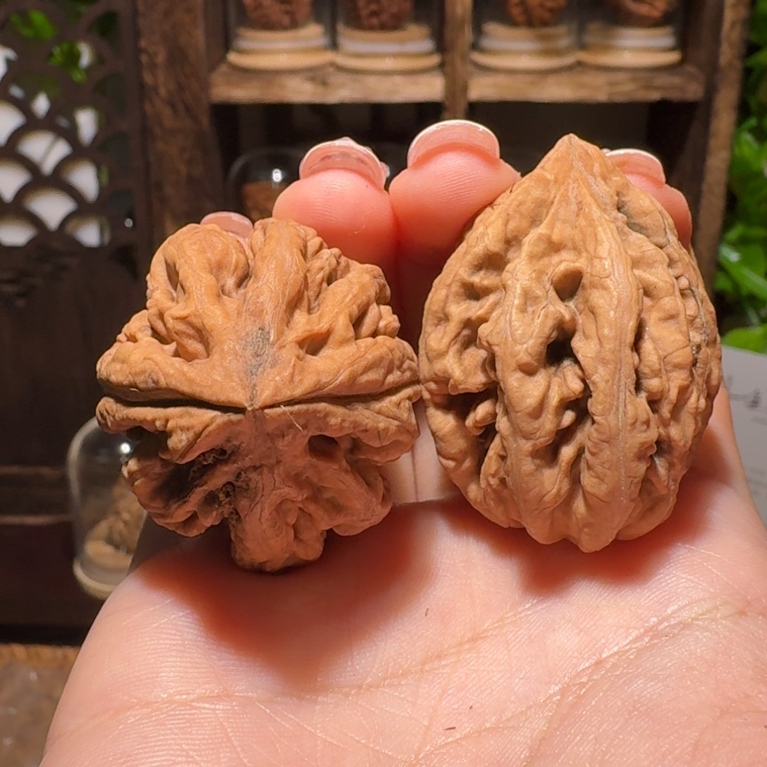 图***腾文玩核桃把件蝴蝶豆火