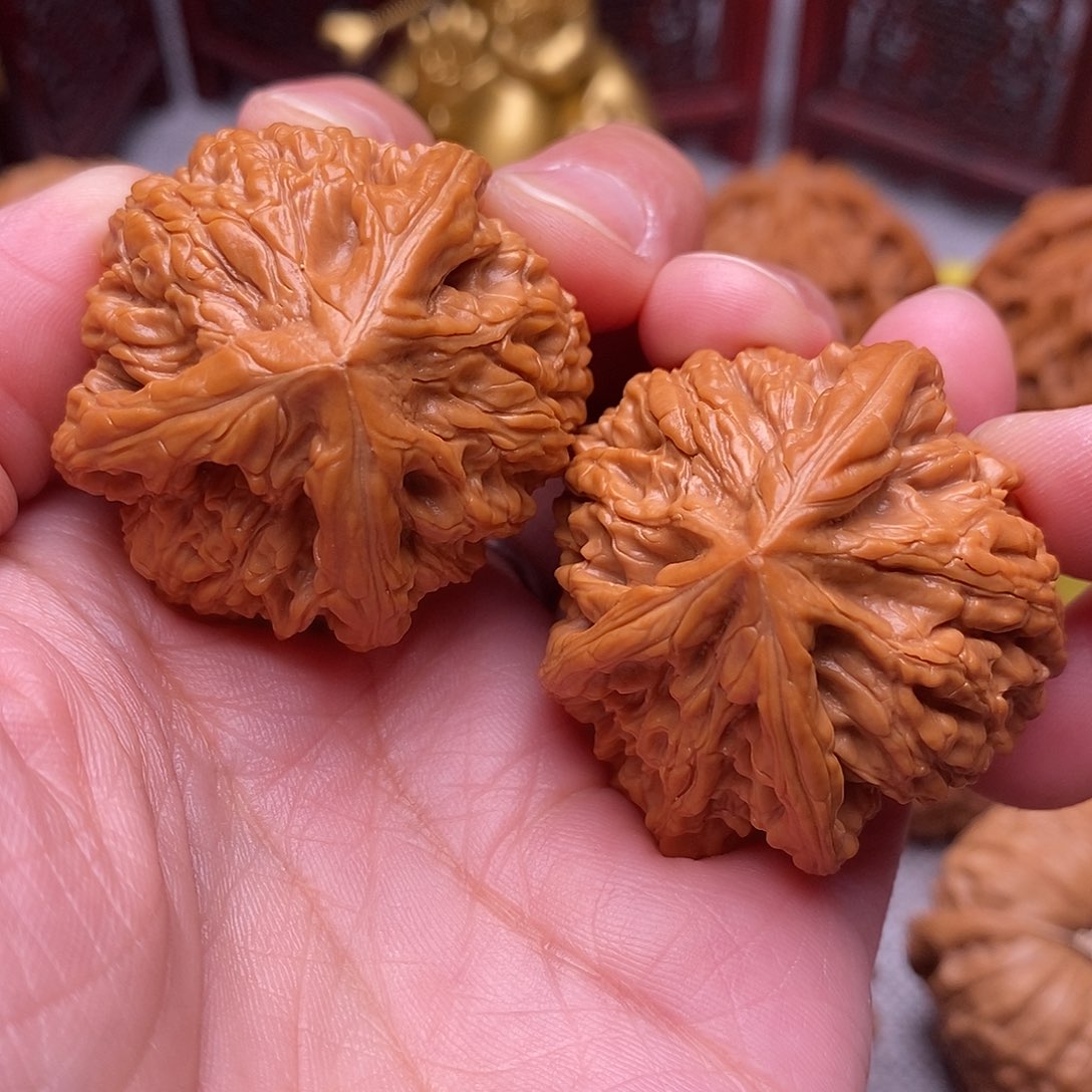 文玩核桃把件全品毕业御龙人字奔奔38尺(特价不议价)