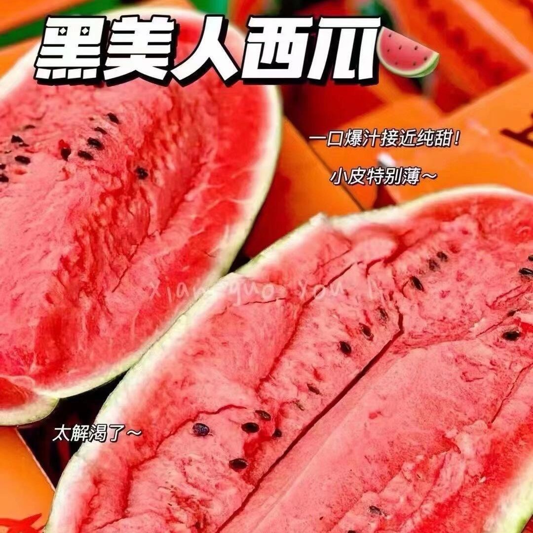 新鲜5-9斤】黑美人西瓜精选新鲜水果当季瓜越南同品不是麒麟甘美瓜