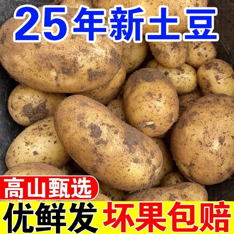 正宗特产黄心黄皮土豆批发黄皮新鲜农家马铃薯洋芋整箱大方蔬菜