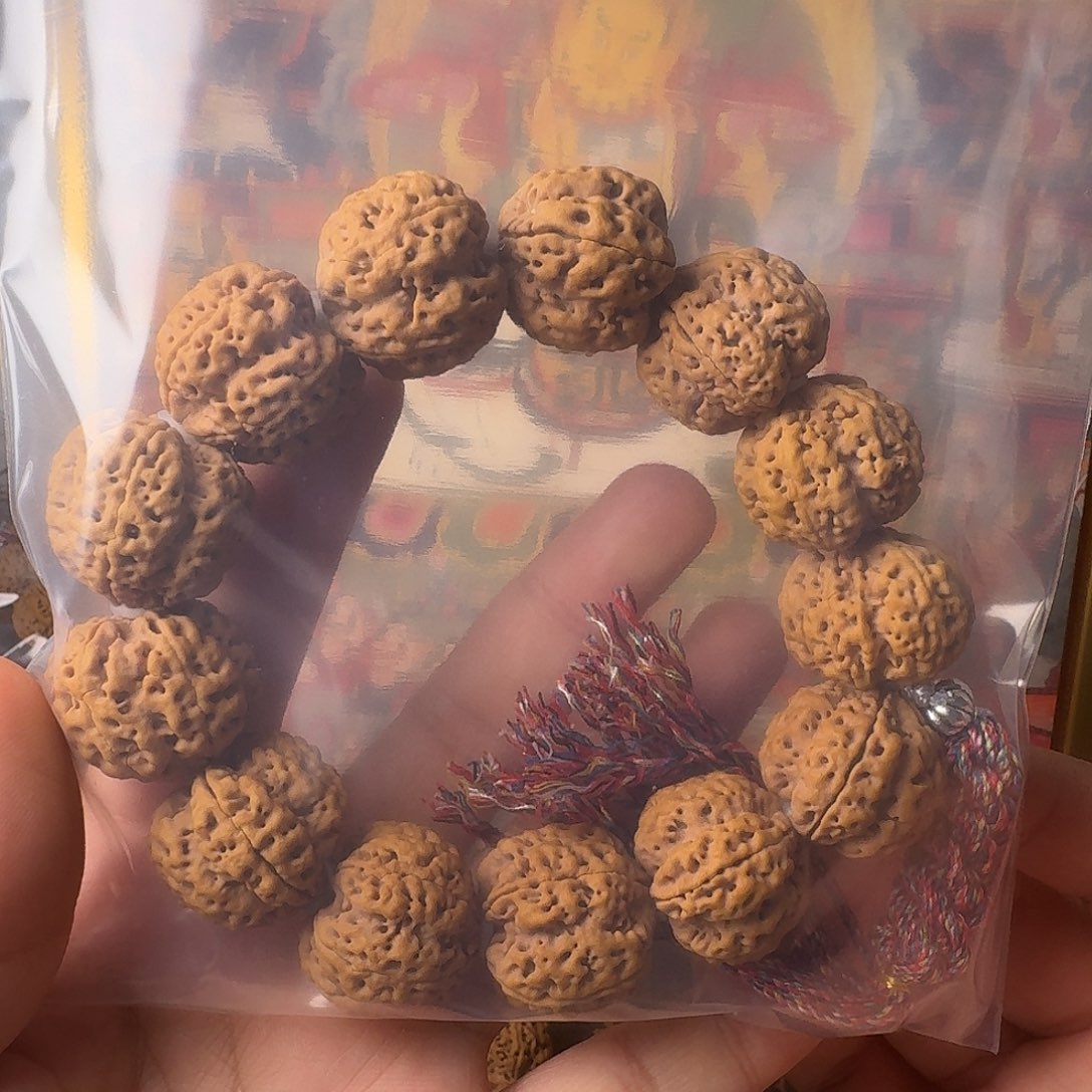 金刚菩提手串海***韵帝王花 爆肉  大尺寸