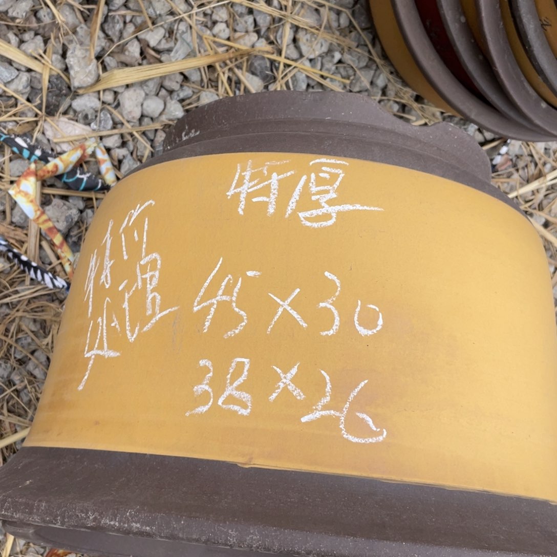 紫砂金钟 一套俩支