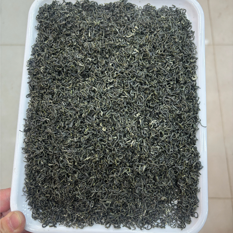 春茶毛尖豆香味浓香型耐泡
