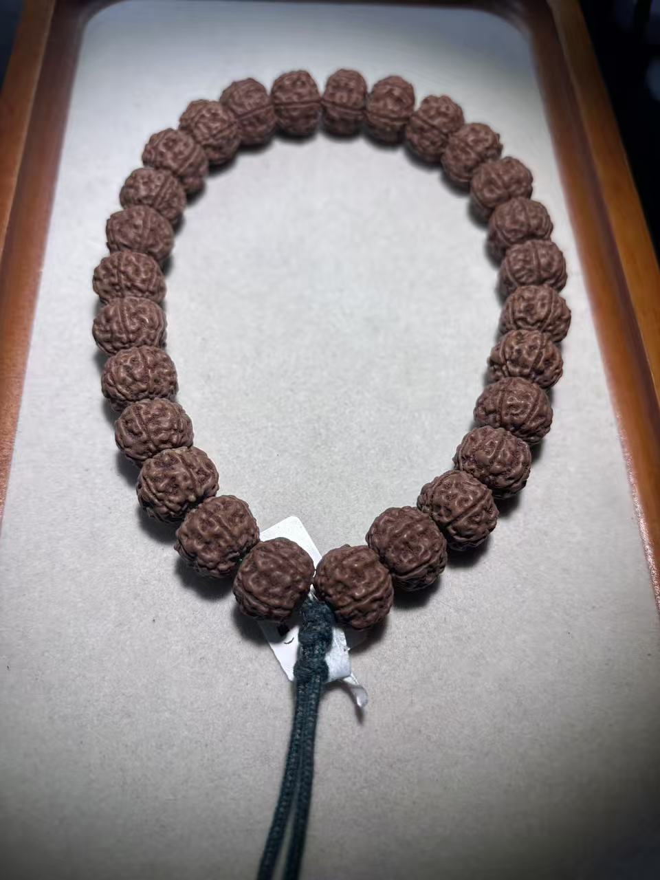 金刚菩提精品老树王