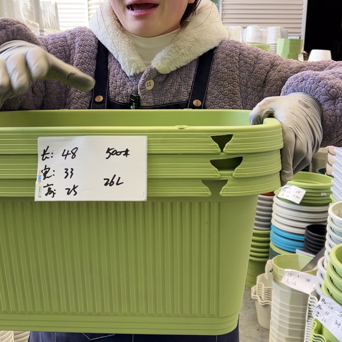 瑕疵菜盆500#果绿3个无托