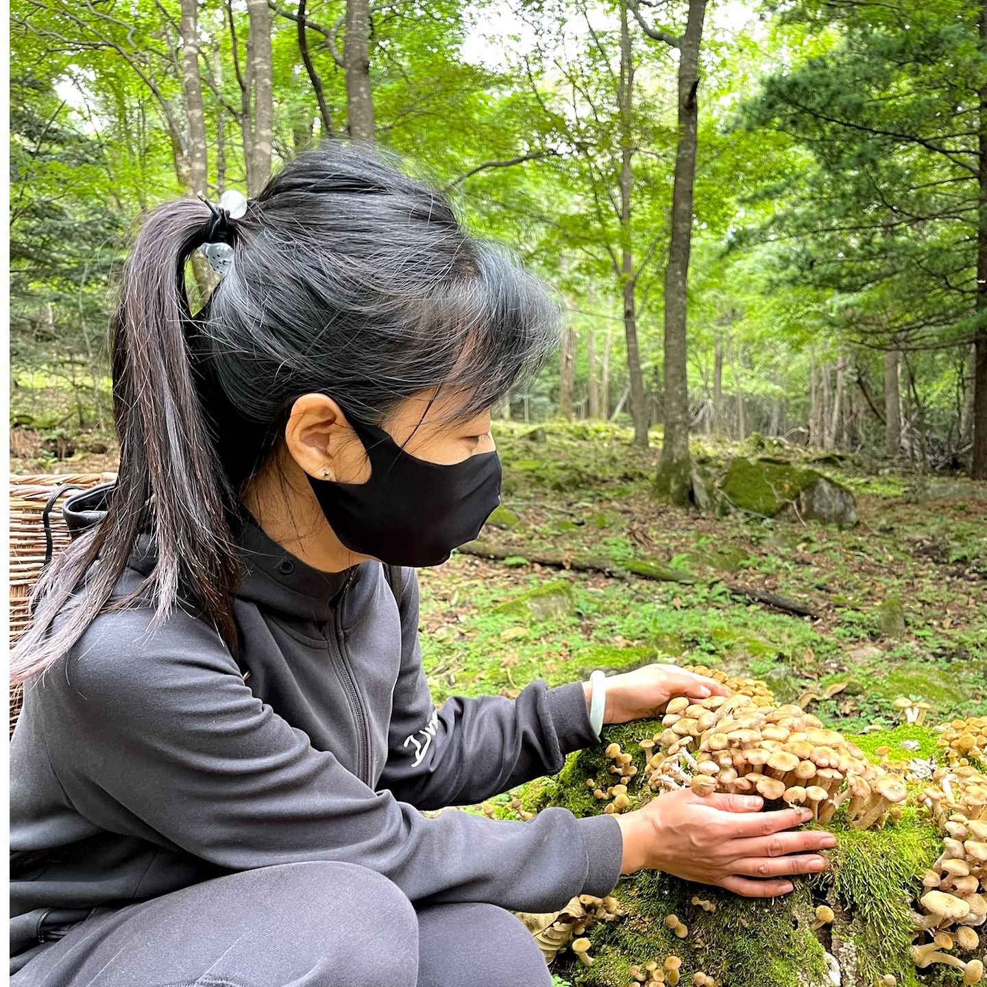 文姐自采长白山农产品（搭配组合）