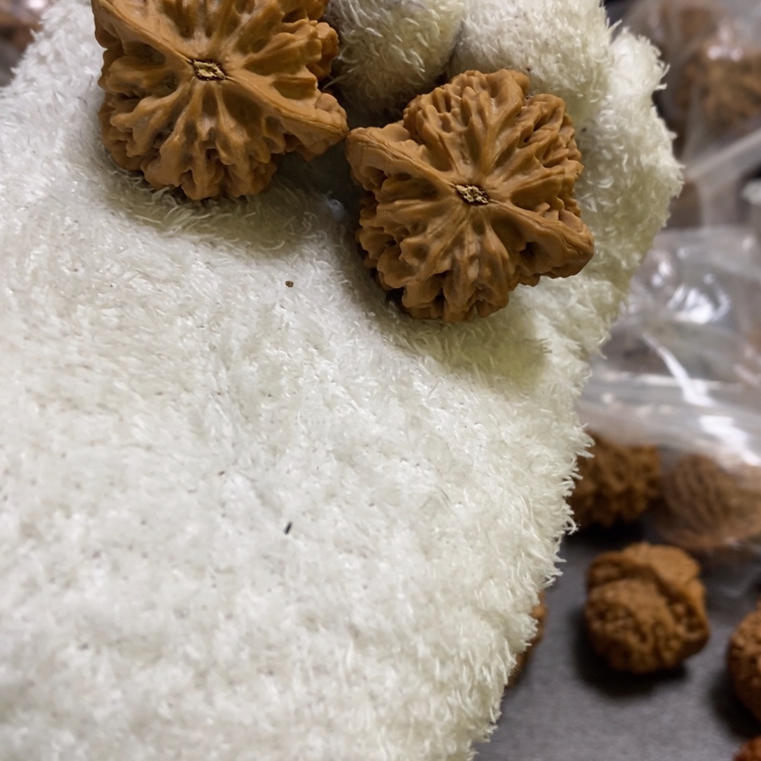 秦岭山脉北段秦闷