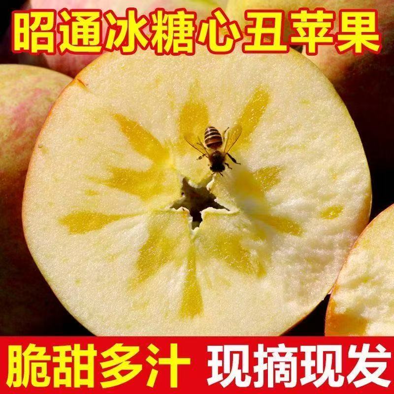 【出口品质】正宗云南昭通红富士冰糖心丑苹果脆甜多汁鲜摘包邮