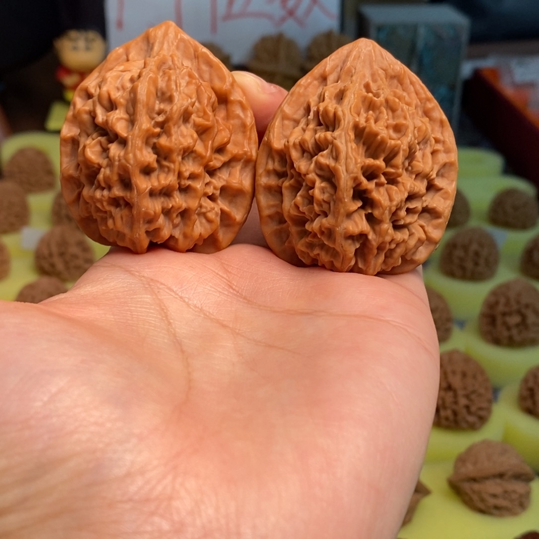 核桃秦岭大花42尺寸