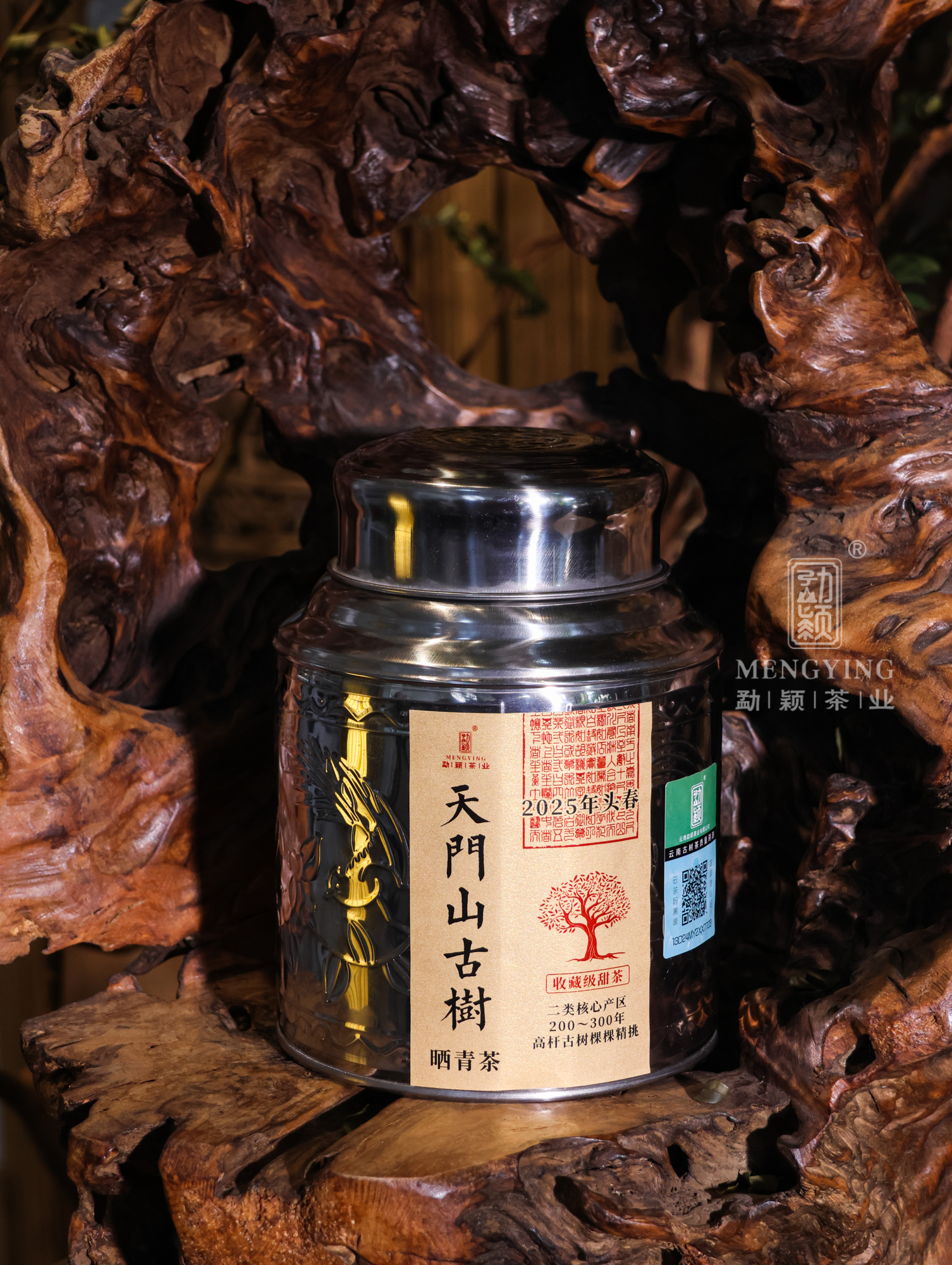 勐颖2025天门山古树生茶云南普洱茶生茶散茶100g罐装春茶