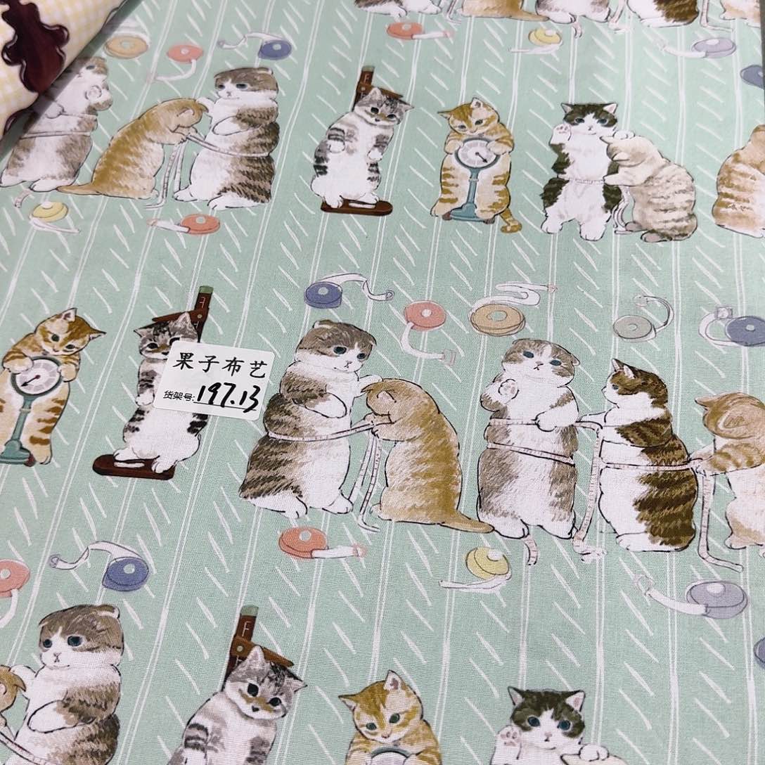 纯棉平布1米长X1.1米宽爆款