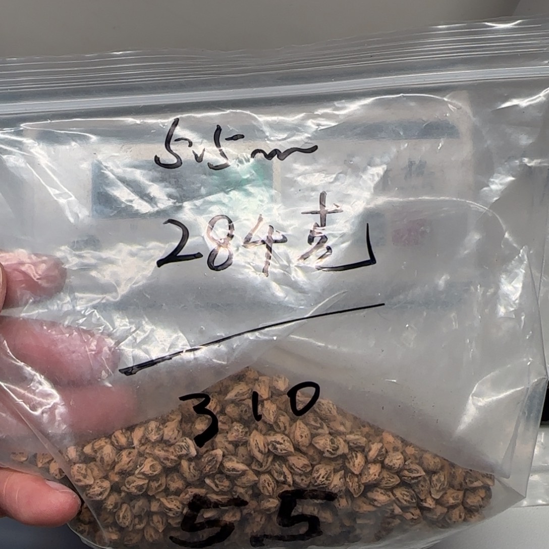 呂***暁柏香籽/百香籽吊坠
