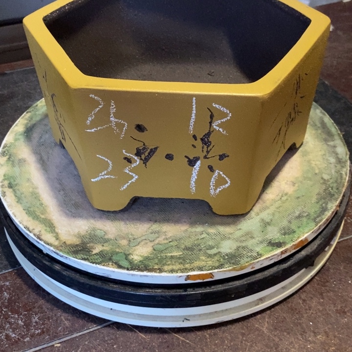 紫砂花盆自由的时候