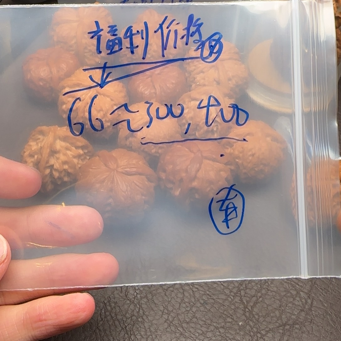 核桃等经济作物的种植