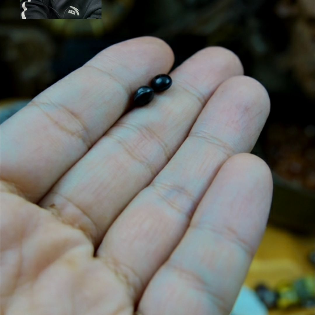 玛瑙/玉髓颈饰未镶嵌d1n29i5y6fn0
