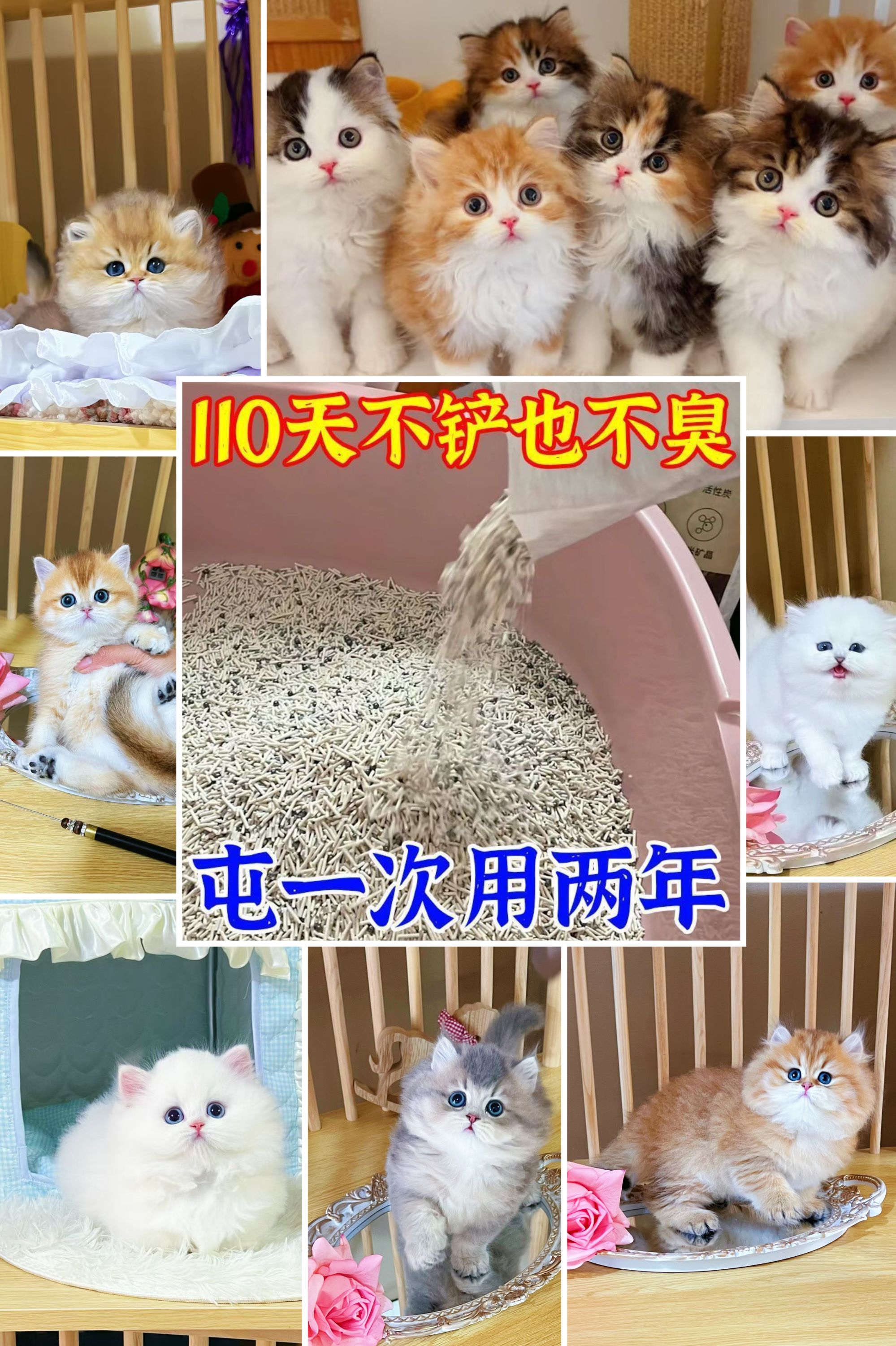 豆腐猫砂直播专用