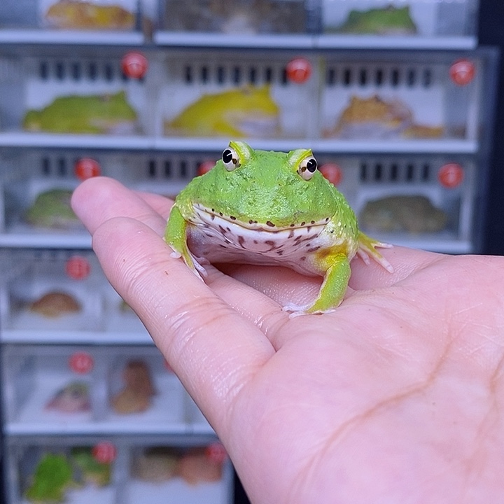 特价秒杀现货特价