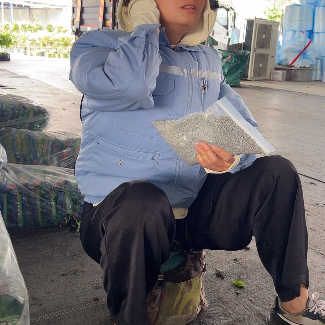 大部分开放少量花苞专用肥2斤