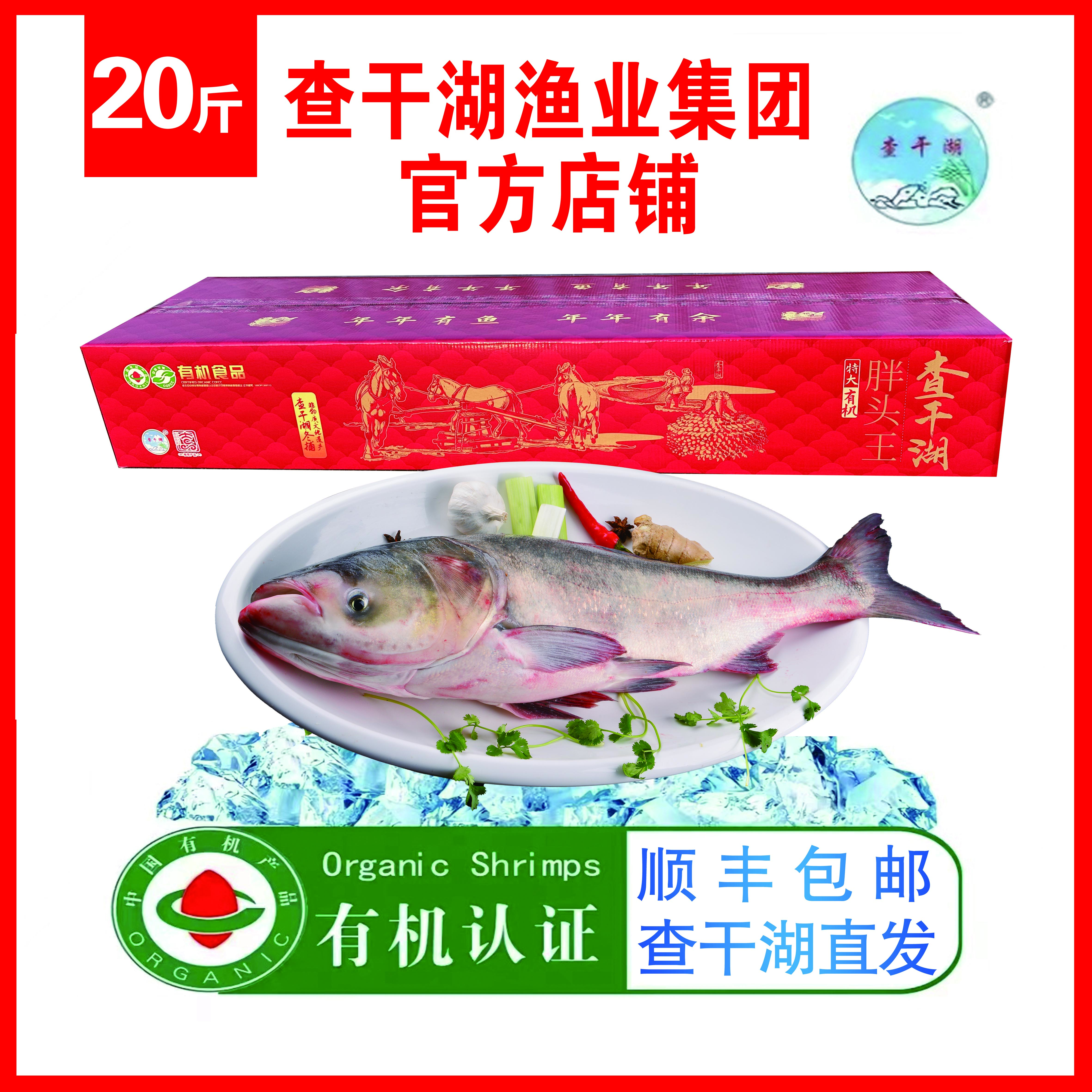 东北查干湖冬捕有机胖头鱼顺丰包邮新鲜食用淡水鱼