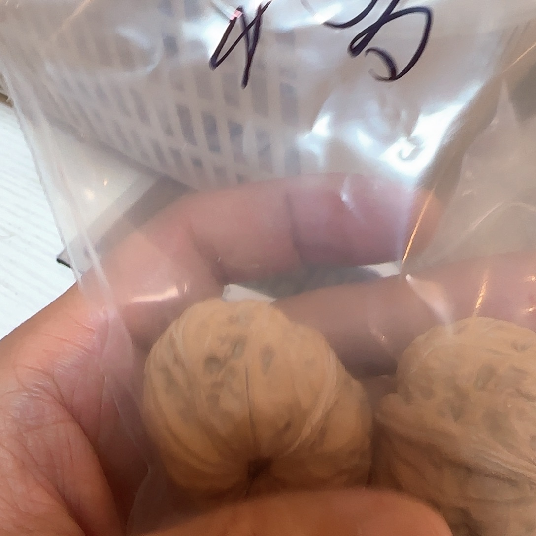 乐***多文玩核桃吊坠核桃