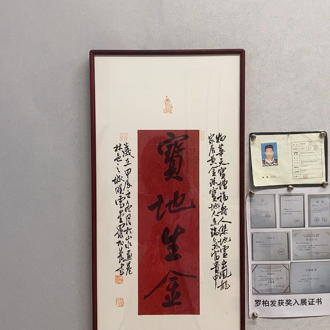 书法罗柏发书法宝地生金