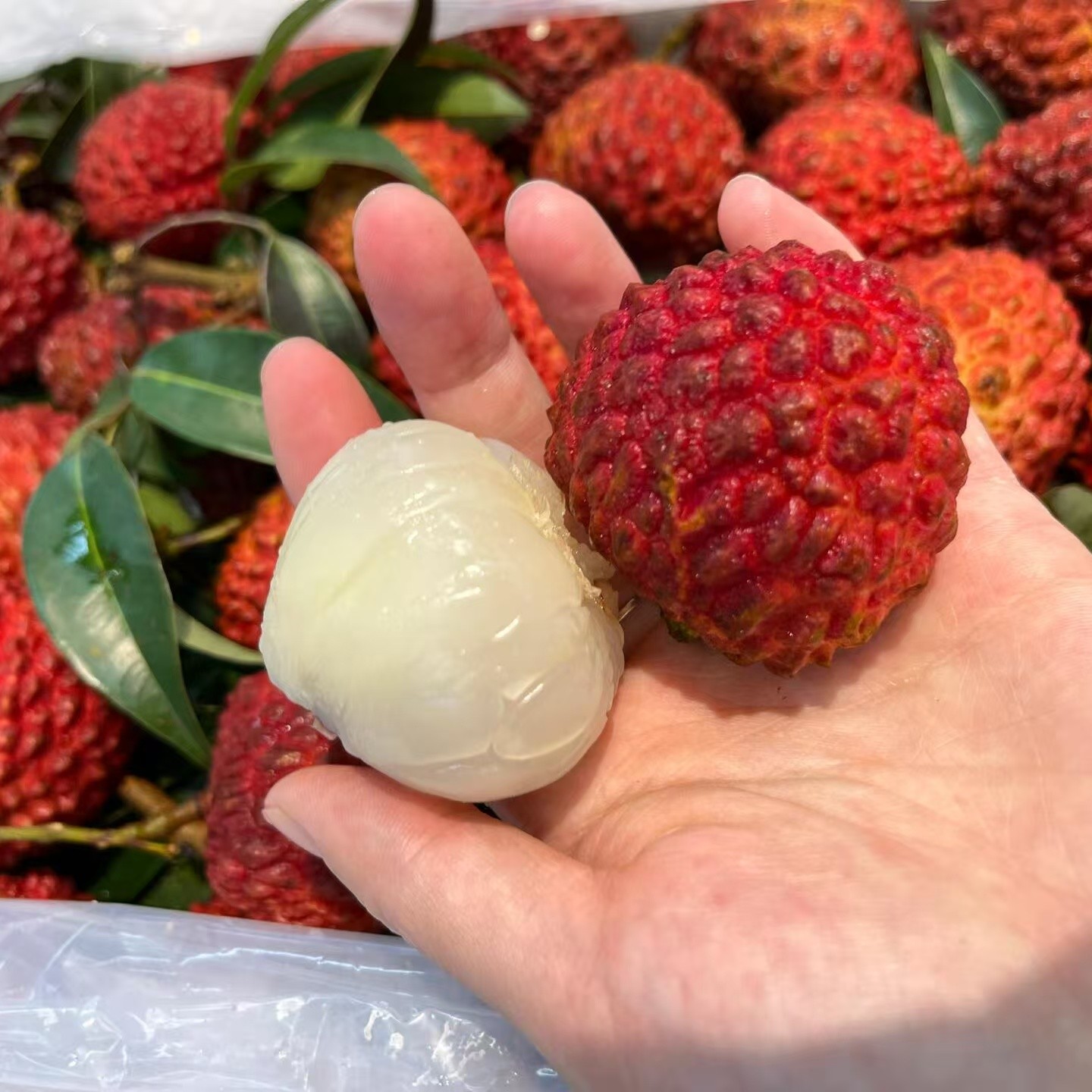 荔枝王荔枝2二斤荔枝同城送黑龙江省