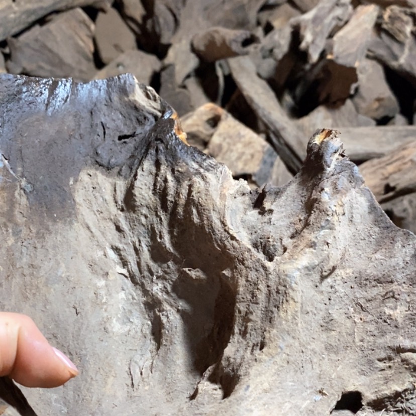 【闪购商品】把件贡木龙****?私人定制