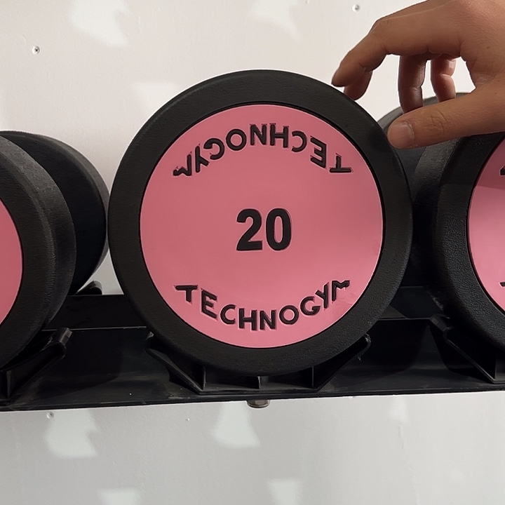 全新纯钢泰诺哑铃20公斤一只粉色