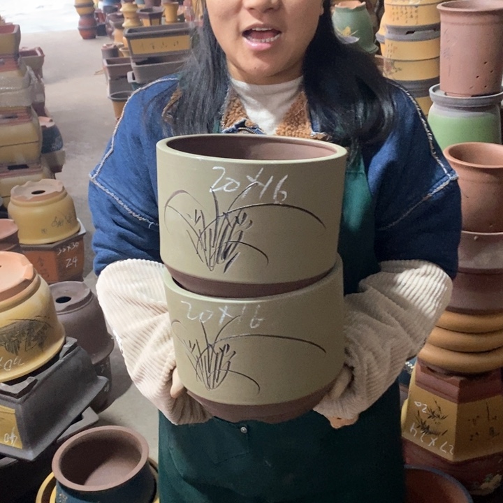 紫砂花盆盆栽花卉苗木种植