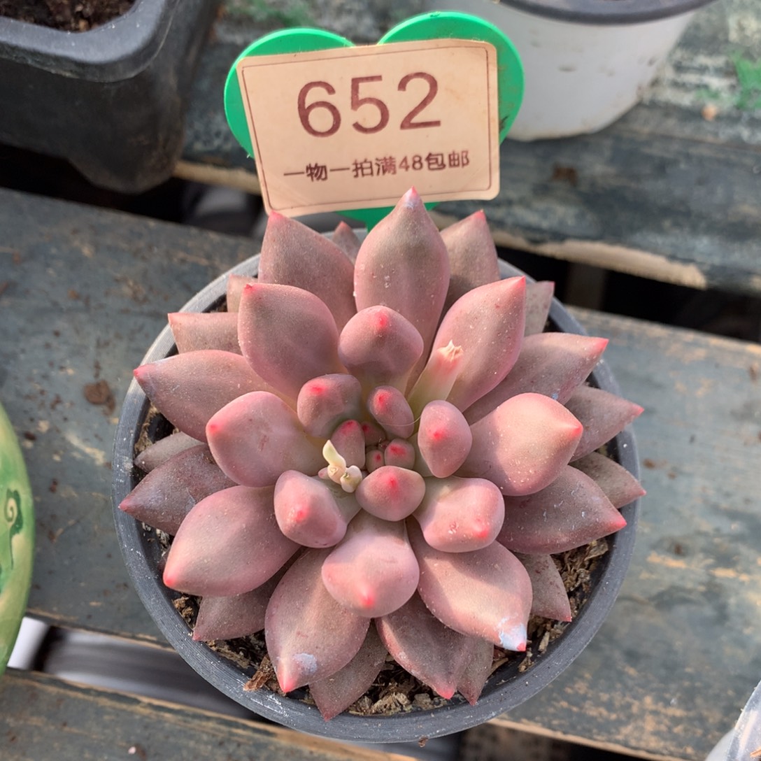 粉体水晶球单头652