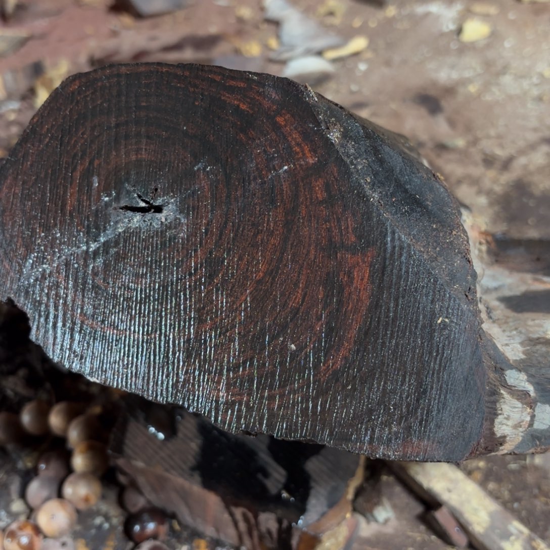 S***L黄花梨/降香黄檀手串/手链