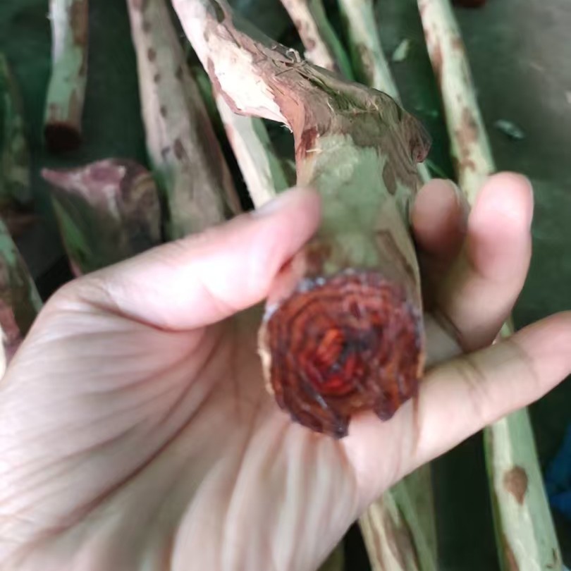 黄花梨定制，链接勿拍