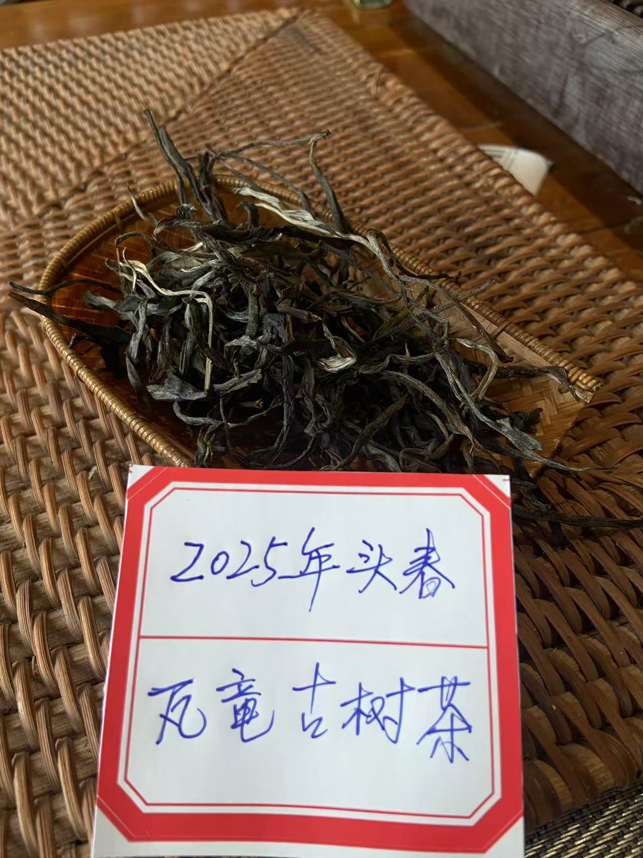 普洱茶2025年瓦竜古树
