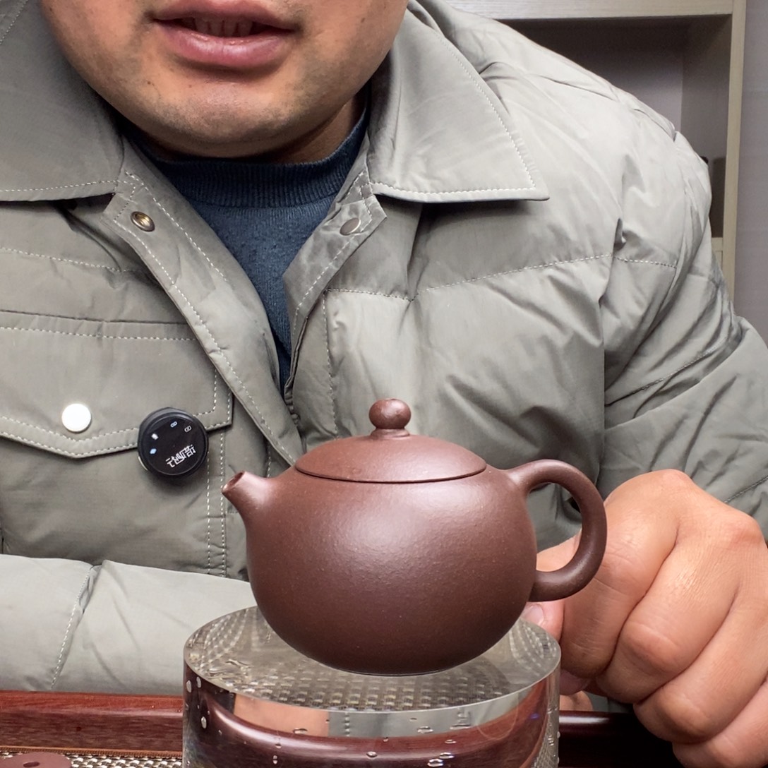 茶壶紫砂12456453