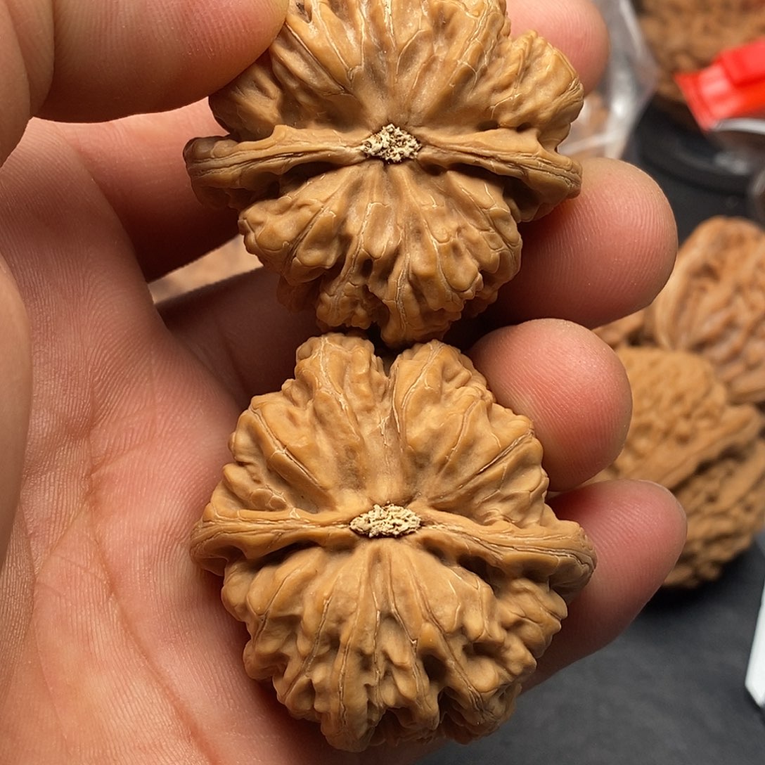 文玩核桃把件刘*潇粗筋43