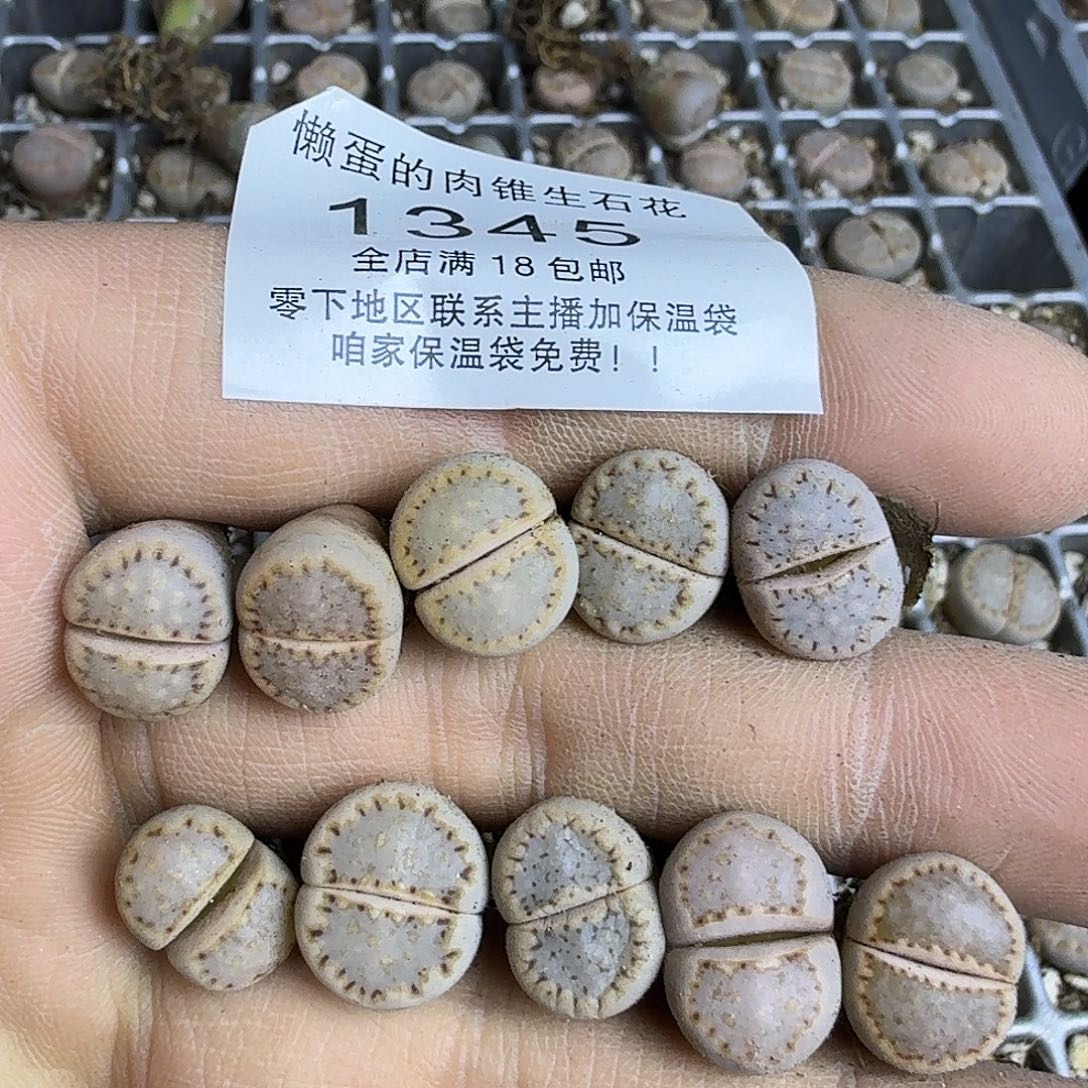 钟***桪1345 哈哈哈哈哈哈哈哈