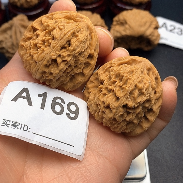 悟***空核桃南疆3.9，有修