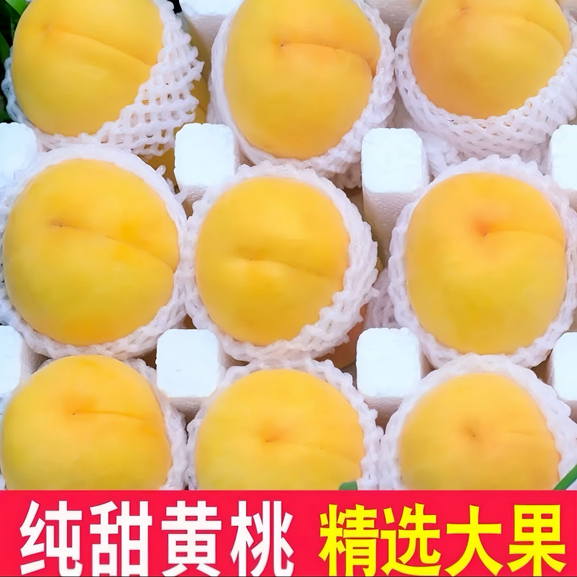 【蒙阴、大黄桃】1 应季新鲜黄桃果园现摘现发Z