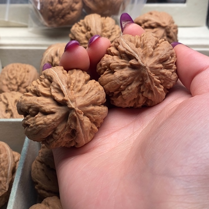 a***l文玩核桃手串霸王龙