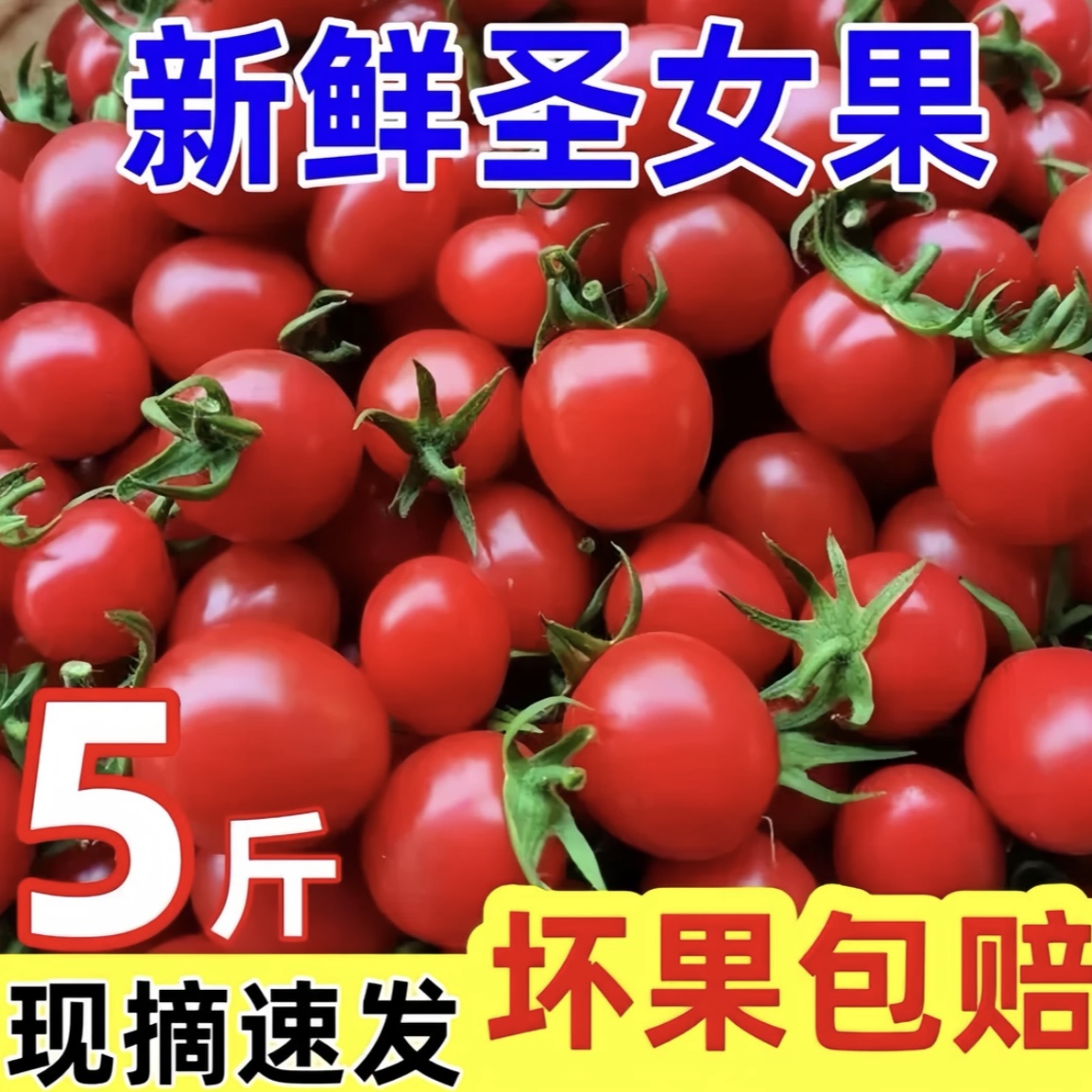 广西圣女果小西红柿新鲜水果小番茄带箱5斤酸甜多汁坏果包赔