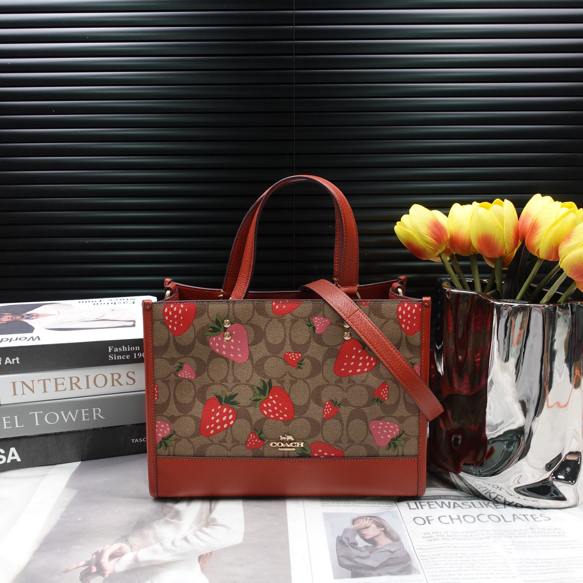 95新 COACH/蔻驰 单肩包/T10309117