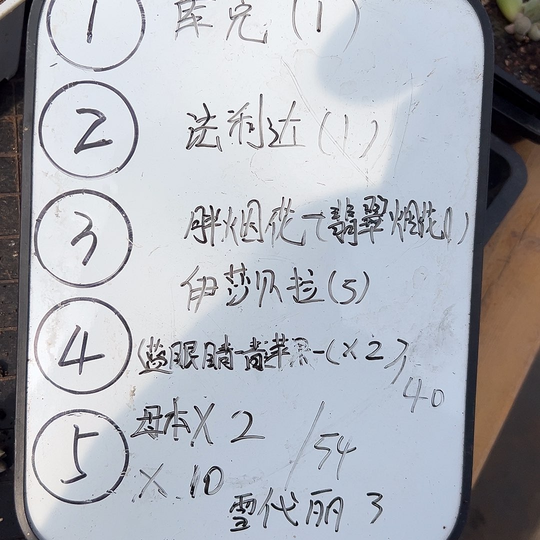 X系组合多肉。6月发。  